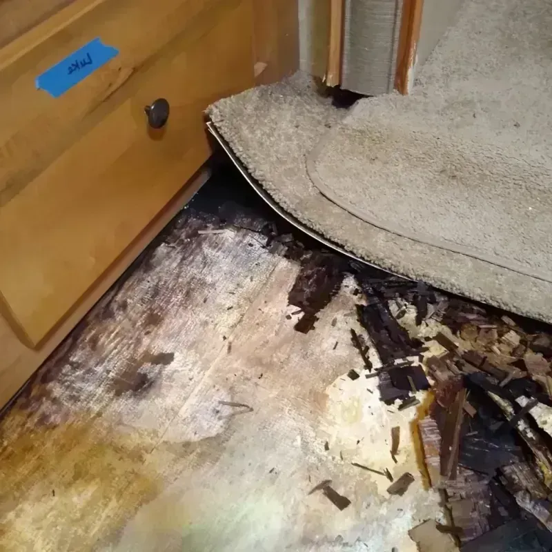 Wood Floor Water Damage in Clark County, IN